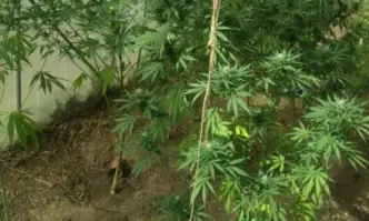 Задържаха двама души при спецакция на полицията срещу наркоразпространението в