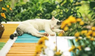 Втората половина на септември ще запази усещането за късно лято