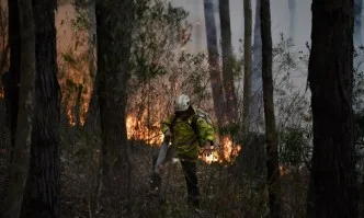 Седем екипа огнеборци се борят с голям пожар в Свиленградско