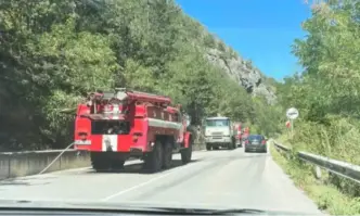 Пожар гори над ВЕЦ-а в Асеновград