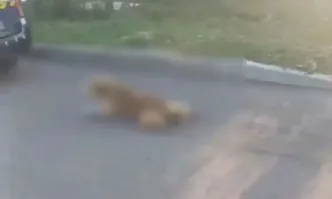 49 годишен мъж от Българово е задържан от бургаската полиция след