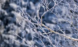 През нощта над по голямата част от страната ще бъде предимно