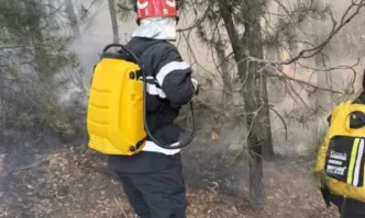 Дъждът помогна да овладеят големия пожар край Димовци