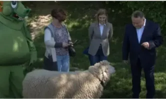 Зам.-кмет на Краков платил близо 2500 лева, за да наеме овца за пресконференция