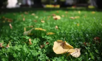 В сряда 23 октомври ще бъде слънчево Почти тихо В