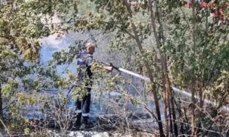 Пожар тръгна от частен имот във вилната зона на пловдивското