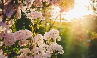 Днес ще бъде слънчево със слаб вятър от североизток Минималните