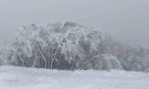 2 см сняг на Шипка - Снимка 2 - Tribune.bg