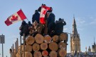 Два дни протести в Канада срещу ковид мерките (СНИМКИ) - Снимка 4 - Tribune.bg