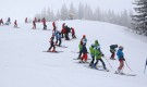 181 деца се състезаваха за купата Витоша ски - Снимка 2 - Tribune.bg