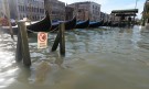 Наводненията във Венеция са повредели базиликата „Сан Марко” (СНИМКИ) - Снимка 4 - Tribune.bg