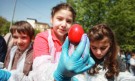 На Велики четвъртък – боядисваме яйцата - Снимка 6 - Tribune.bg