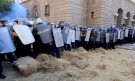 Клада от слама за полицаите на протеста (ГАЛЕРИЯ) - Снимка 3 - Tribune.bg