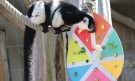 Великденска треска в зоопарка в Хановер (ГАЛЕРИЯ) - Снимка 6 - Tribune.bg