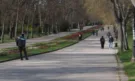 Клон се стовари върху трима общински работници докато почиствали Морската градина във Варна
