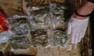 Акция „Бяло“ продължава, откриха хале за марихуана и оръжия (СНИМКИ) - Снимка 2 - Tribune.bg