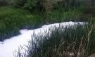 Гъстя бяла пяна покри река Струма в Перник