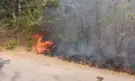 Евакуираха пловдивски хотел заради пожар до гребната база - Снимка 3 - Tribune.bg