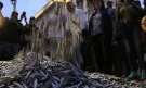 Унищожаването на храна продължава: Протестиращите съсипаха кашони с риба (СНИМКИ)