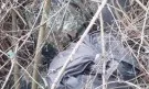 Гранични полицаи откриха наркотици за 5,5 милиона лева в храсти край Свиленград