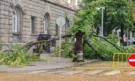 По време на мощната буря: Дърво падна върху майка с две деца в София