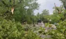 Ураганен вятър изкорени дървета в Търговище - Снимка 3 - Tribune.bg