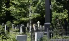 Терзиев уволни дисциплинарно директора на Гробищни паркове