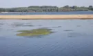 Нивото на Дунав продължава да е критично ниско