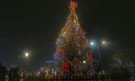 Коледната елха в София грейна без празнична програма - Снимка 4 - Tribune.bg
