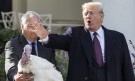 Тръмп помилва две пуйки (СНИМКИ И ВИДЕО) - Снимка 4 - Tribune.bg