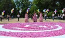 Пищно цветно пано от 72 000 розови цвята в Казанлък (ГАЛЕРИЯ) - Снимка 4 - Tribune.bg